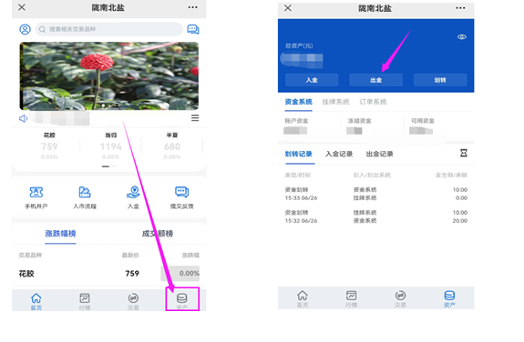 北方生态现货出入金步骤32