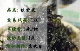 坛紫菜
